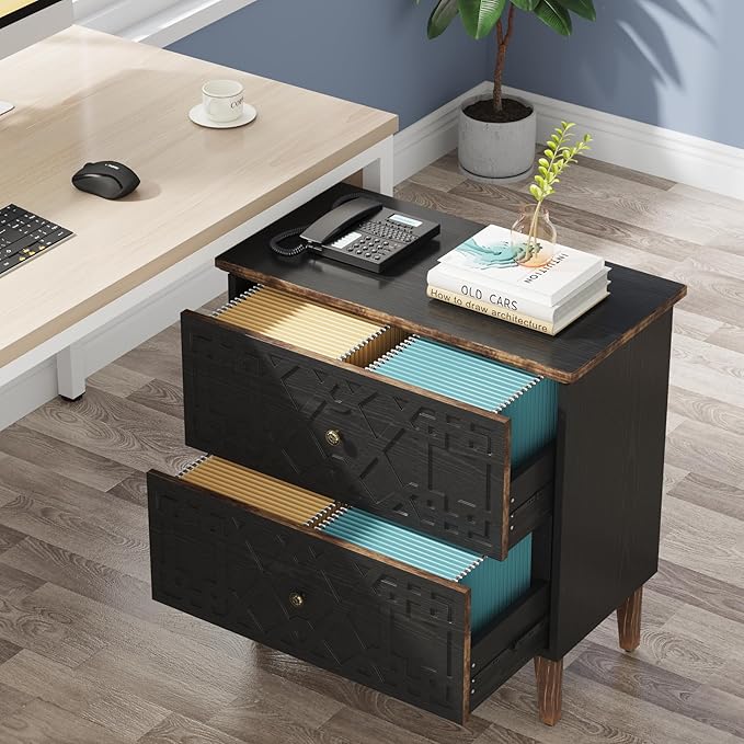 LITTLE TREE 2-Drawer File Cabinet, Lateral Filing Cabinet for A4/Letter/Legal Size, Office Storage Cabinet, Printer Stand with Storage Drawer for Home Office, Black-DeskLoop Office
