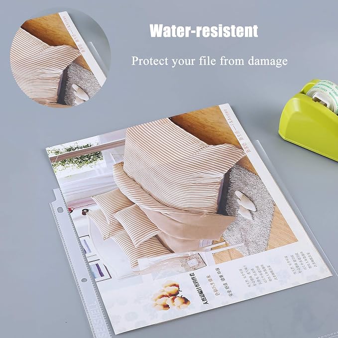 Seashell 250 Economy Sheet Protectors 8.5 x 11, Letter Size, Acid Free - Image 2
