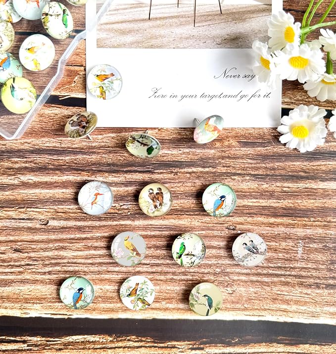 24Pcs Bird Decorative Pins and Tacks, Thumb Tacks - Image 6