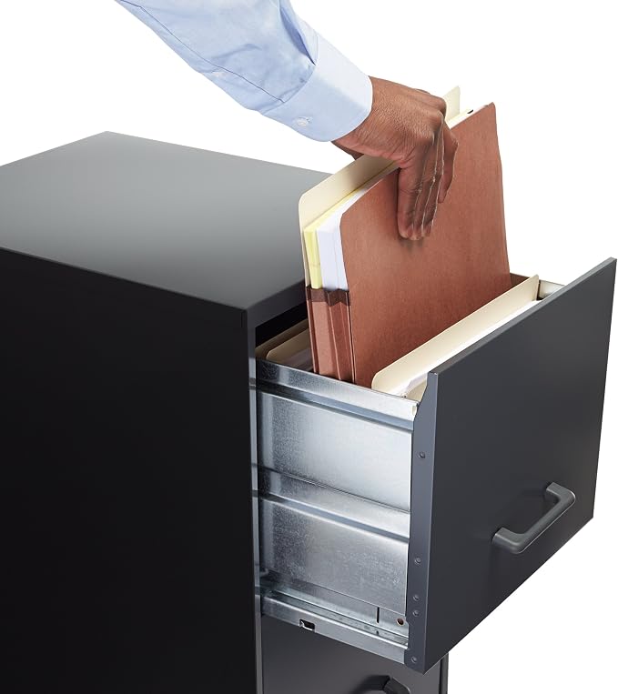 Amazon Basics Expanding File Folder Organizer - Image 6