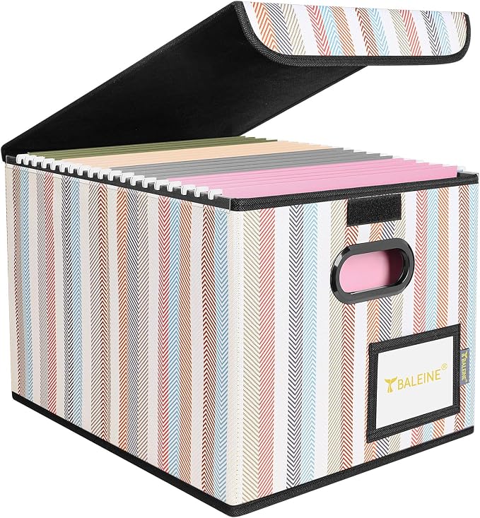 BALEINE File Organizer Box by BALEINE