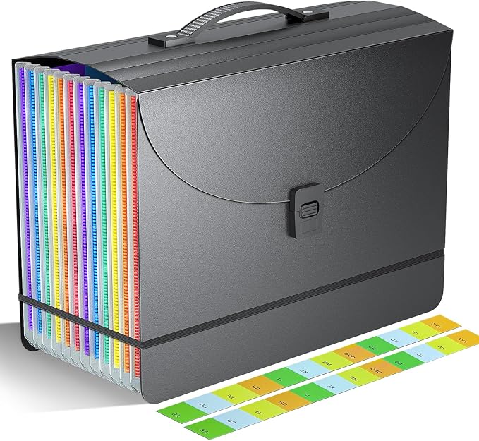 Accordion File Organizer/Expanding File Folder by Vanulee