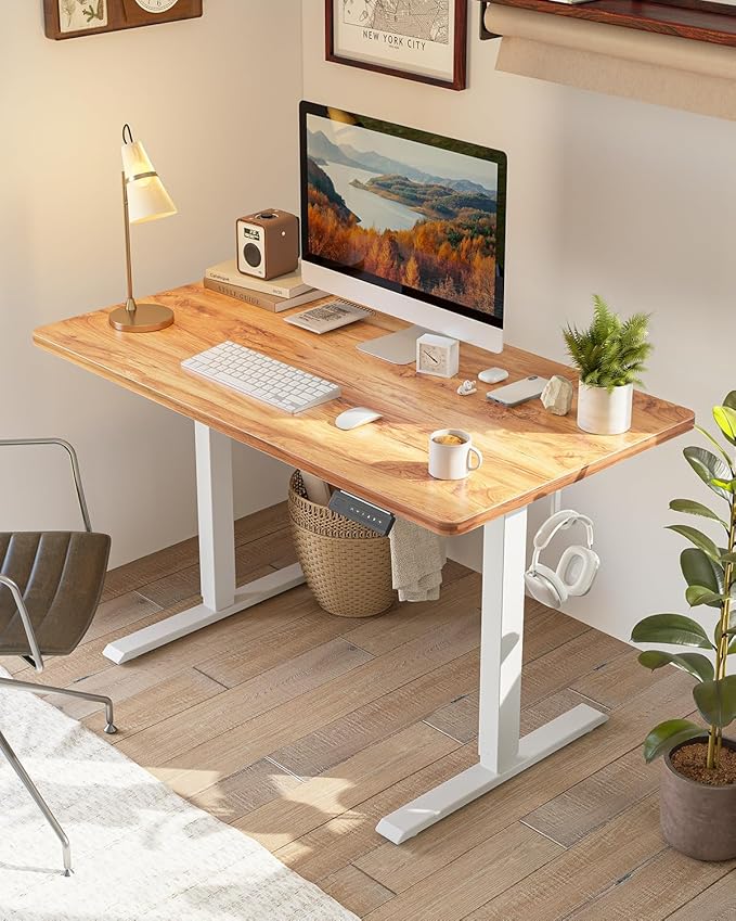 FEZIBO One-Piece Standing Desk Adjustable Height Stand up Home Office Desk, 32x24 Inch Electric Standing Computer Desk, with 4 Memory Presets, Fixable casters, Light Rustic-DeskLoop Office