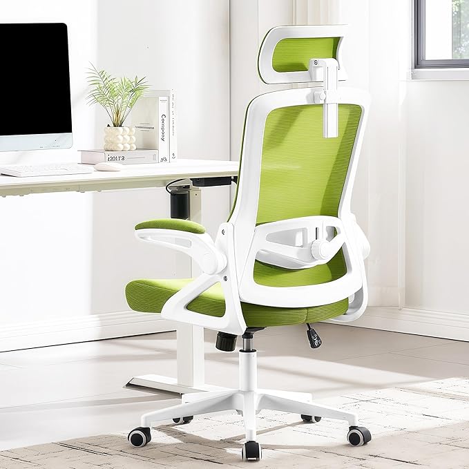 Fizzin Ergonomic Office Chair, 400 LBS Desk Chair by Unknown