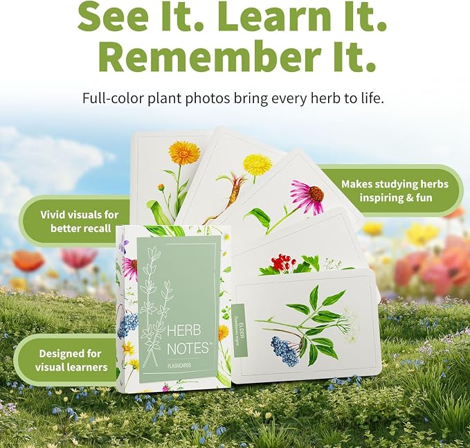 Herb Notes Flash Cards – Educational Plant Learning Cards - Image 4