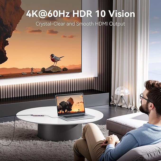 USB C Hub HDMI USB Adapter, 9 in 1 Dock with HDMI 4K@60Hz, SD/TF Card Reader, USB C Port,100W PD and 4 USB Ports (Pink)-DeskLoop Office