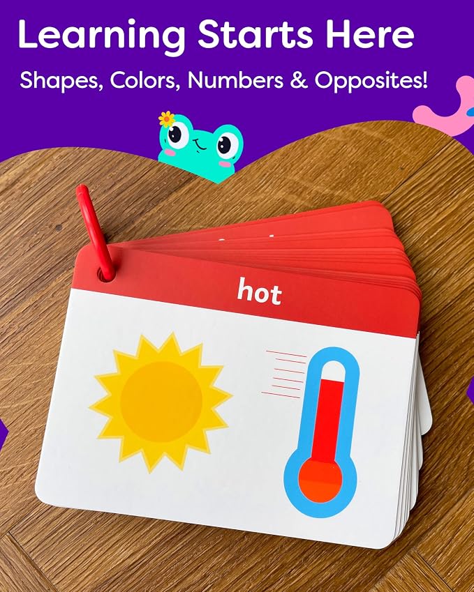 Toddler Flash Cards - Image 7