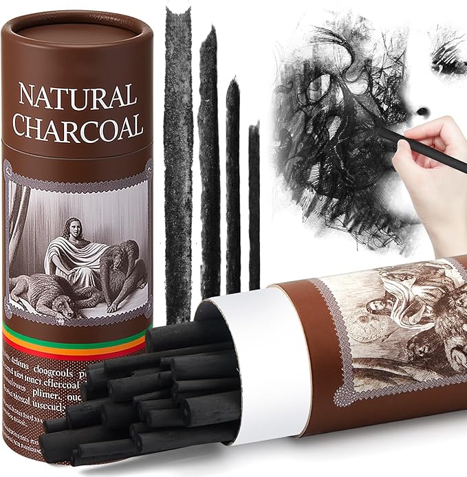 Gueevin 24 Pcs Willow Charcoal Sticks, Willow Charcoal, Artists, Beginners, Students, Perfect for Sketching, Drawing, Shading, and Fine Art (2-4mm，4-5mm，5-7mm，7-9mm)-DeskLoop Office