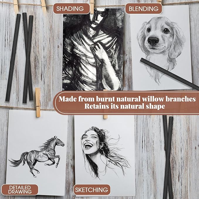 Gueevin 200 Pcs Willow Charcoal Sticks, Willow Charcoal, Artists, Beginners, Students, Perfect for Sketching, Drawing, Shading, and Fine Art (5-7mm)-DeskLoop Office