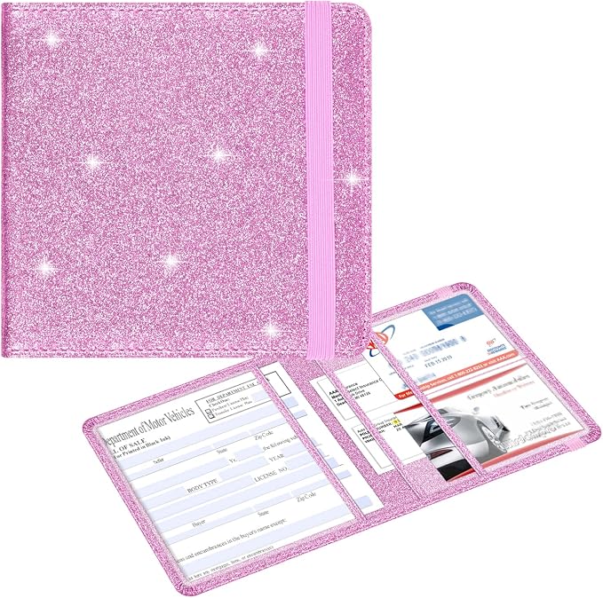 Wisdompro Small Car Registration and Insurance Documents Holder by Wisdompro
