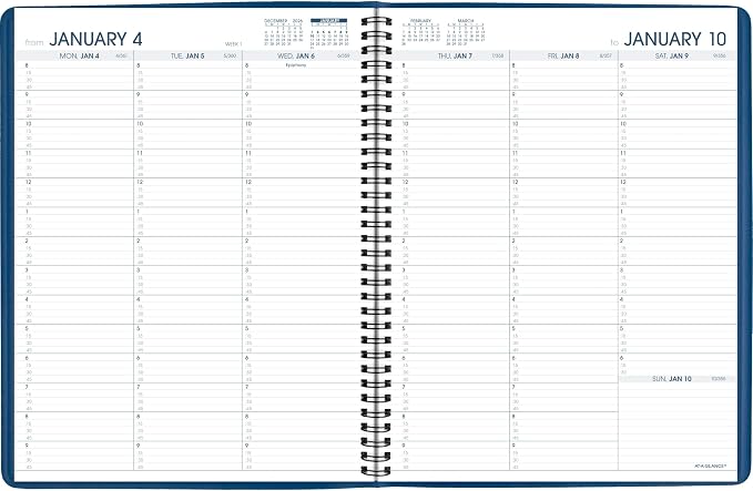 AT-A-GLANCE 2027 Appointment Book Planner, 8.25" x 11" - Image 8