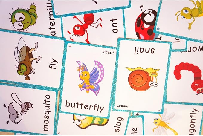 SANTSUN 14 Insects and Bugs Flashcards - Image 7