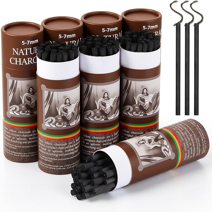 Gueevin 200 Pcs Willow Charcoal Sticks, Willow Charcoal, Artists, Beginners, Students, Perfect for Sketching, Drawing, Shading, and Fine Art (5-7mm)-DeskLoop Office