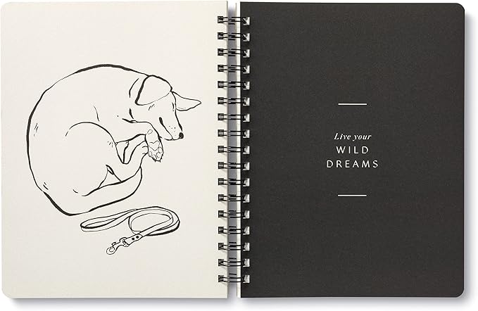 Compendium Spiral Notebook - Play All Day — A Designer Spiral Notebook with 192 Lined Pages, College Ruled, 7.5”W x 9.25”H-DeskLoop Office