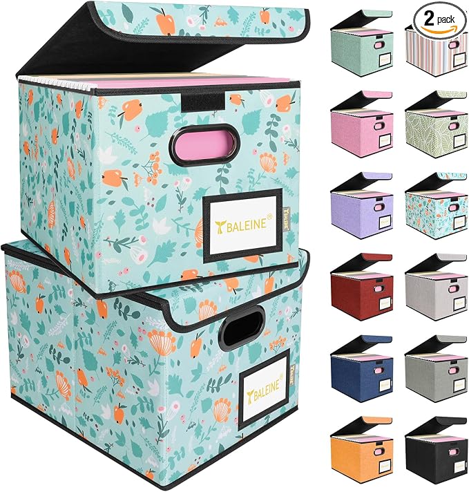 BALEINE File Organizer Box by BALEINE