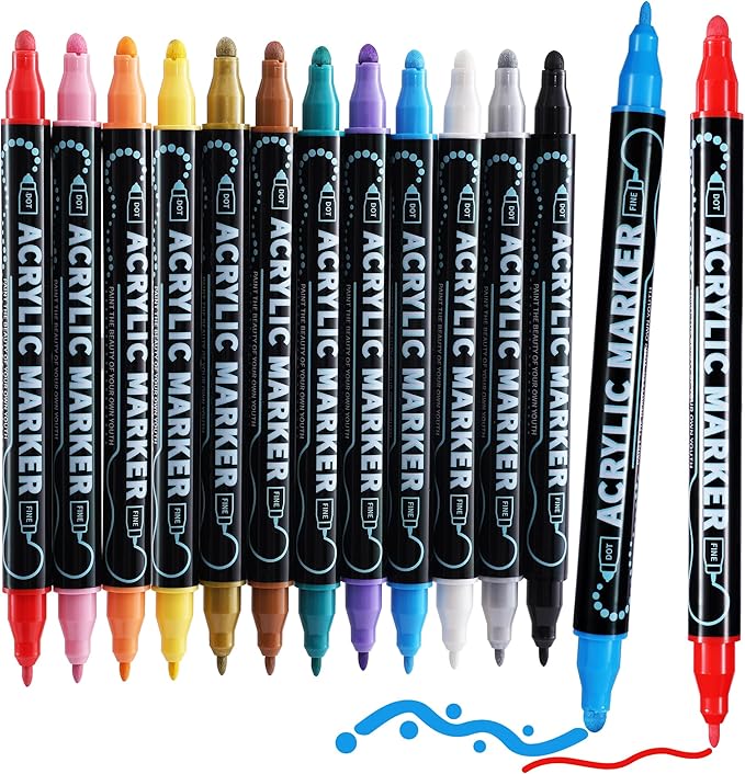 12 Colors Waterproof Dual Tip Acrylic Paint Pens, Dot & Fine Tip Premium Coloring Drawing Markers Set for Wood, Rock Painting, Canvas, Glass, Ceramic Surfaces and DIY Crafts Making Art Supplies-DeskLoop Office