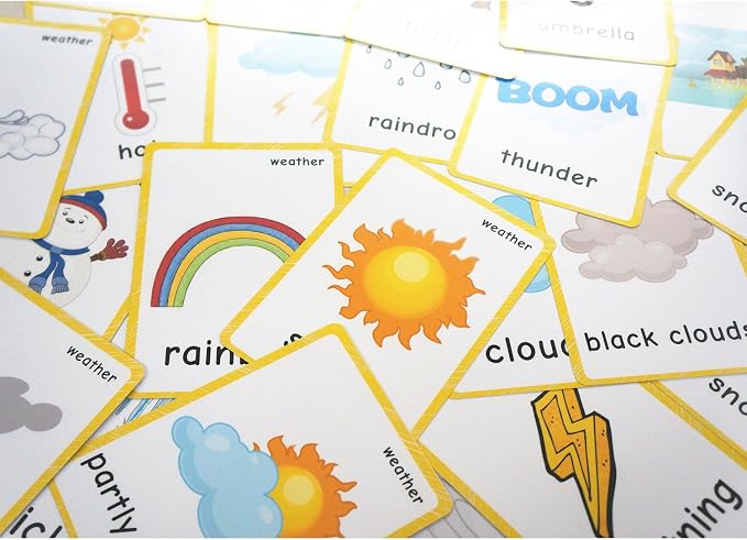 22 Weather Flash Cards - Image 7