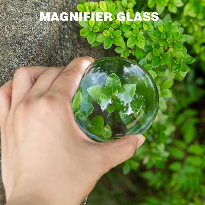 2Pcs 3.1inch Crystal Dome Magnifying Paperweight, Paper Weights - Image 5