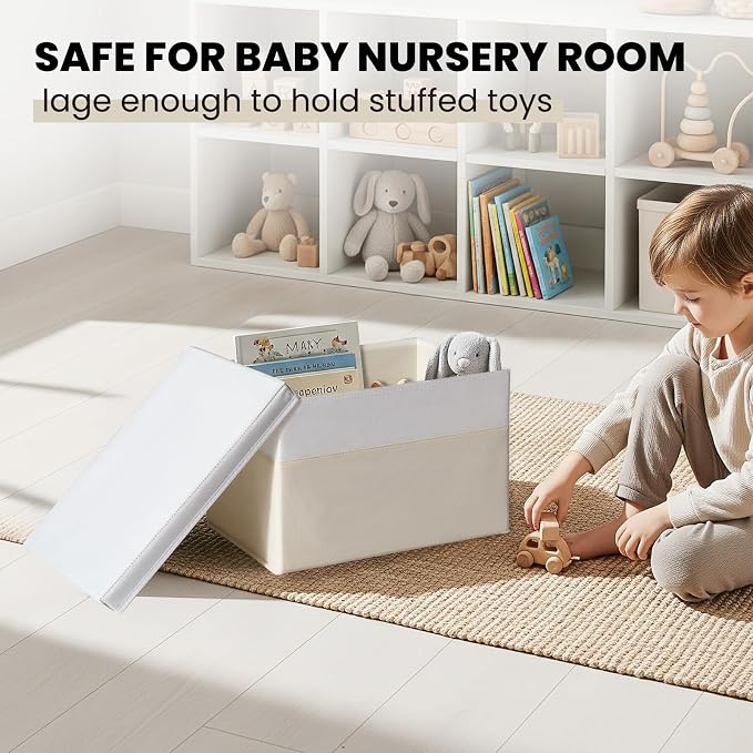 Large Closet Organizer Bins - Image 5