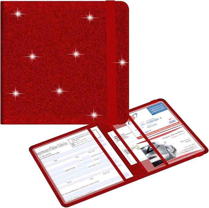 Wisdompro Small Car Registration and Insurance Documents Holder by Wisdompro