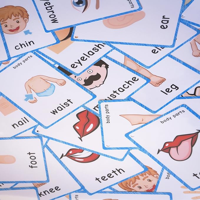 SANTSUN Set of Body Parts Kid Flashcards - Image 7