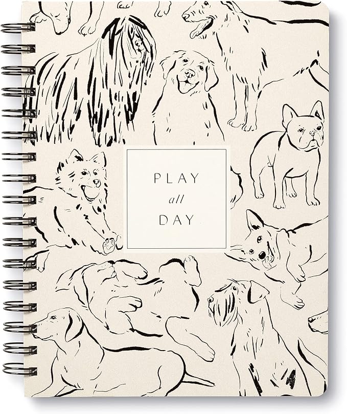 Compendium Spiral Notebook - Play All Day — A Designer Spiral Notebook with 192 Lined Pages, College Ruled, 7.5”W x 9.25”H-DeskLoop Office