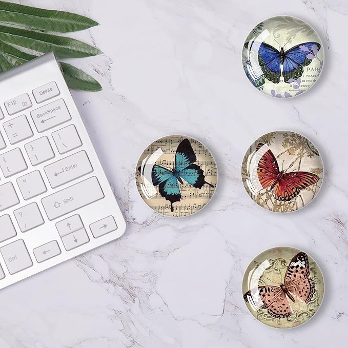 12Pcs Glass Refrigerator Magnet Fridge Sticker,Butterfly Fridge Magnets Decoration for Crafts,Strong Fridge Magnets for Kitchen, School,Office Whiteboard, Cabinet and Dishwasher-DeskLoop Office