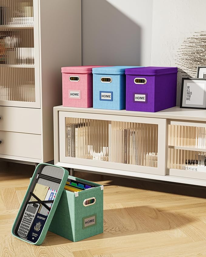 Oterri File Organizer Box with Lid, Hanging Filing File Box with Mesh Pocket, Document Organizer Box for Letter Files, Portable Storage Box with Smooth Sliding Rail for Office&Home (2 PCS, Sky-blue)-DeskLoop Office