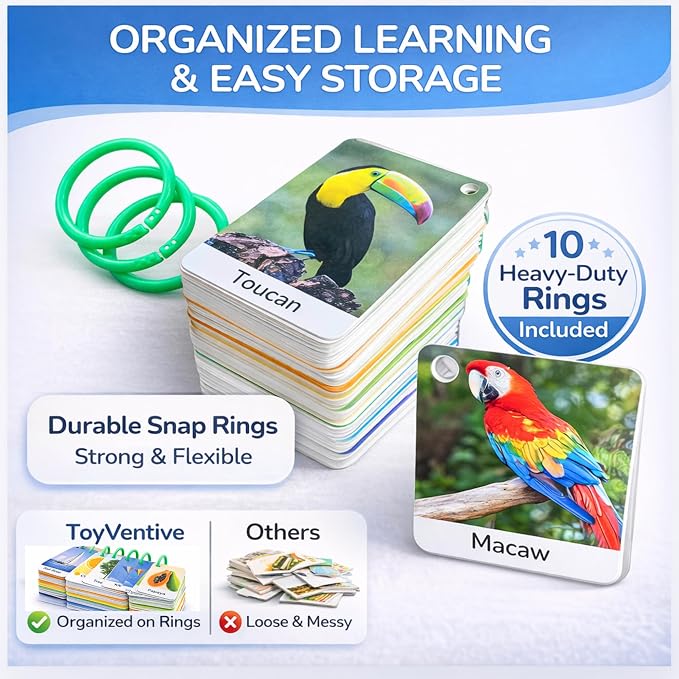 250 Thick & Sturdy Learning Flashcards - Image 9