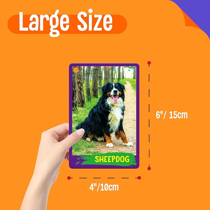 My First 120 Animals - Image 2