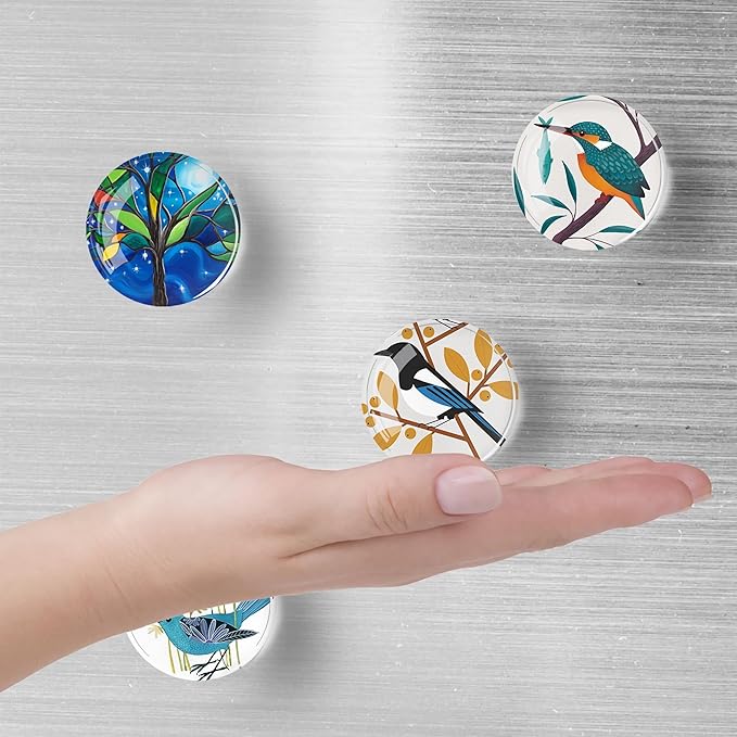 12Pcs Glass Refrigerator Magnet Fridge Sticker,Bird Fridge Magnets Decoration for Crafts,Strong Fridge Magnets for Kitchen, School,Office Whiteboard, Cabinet and Dishwasher-DeskLoop Office