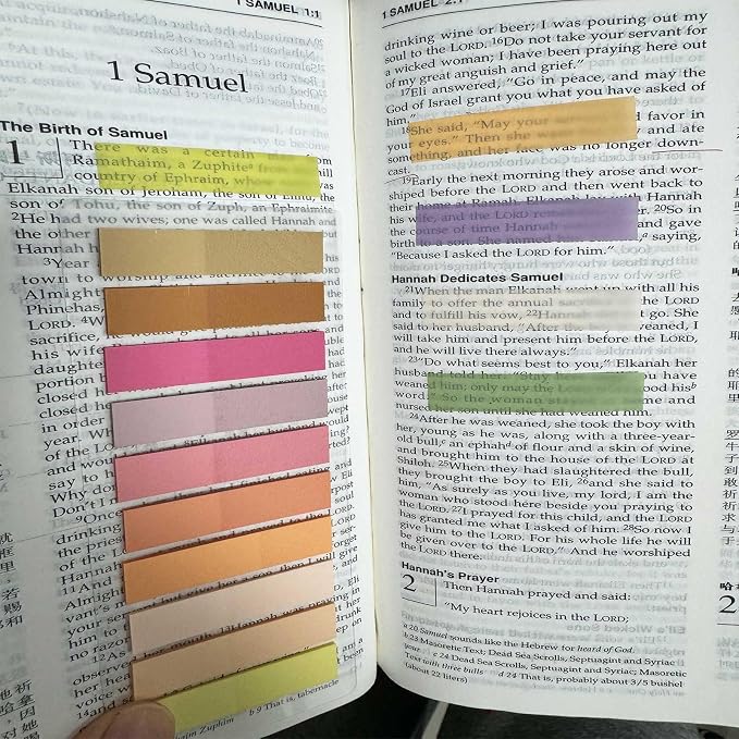 ELII 3600pcs Books Tabs for Annotating Page Markers Morandi Sticky Tabs | - Image 6