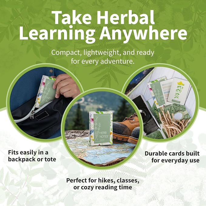 Herb Notes Flash Cards – Educational Plant Learning Cards - Image 5