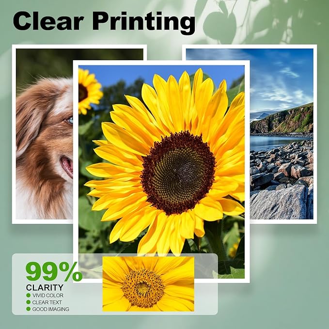 952XL Ink Cartridges Black Tri-Color Combo Compatible Replacement Work with HP OfficeJet Pro 7720 7740 8200 8210 8216 8218 8700 8710 8714 8715 8716 8717 8720 8724 8725 8726 Printer(4 Pack, BCMY)-DeskLoop Office