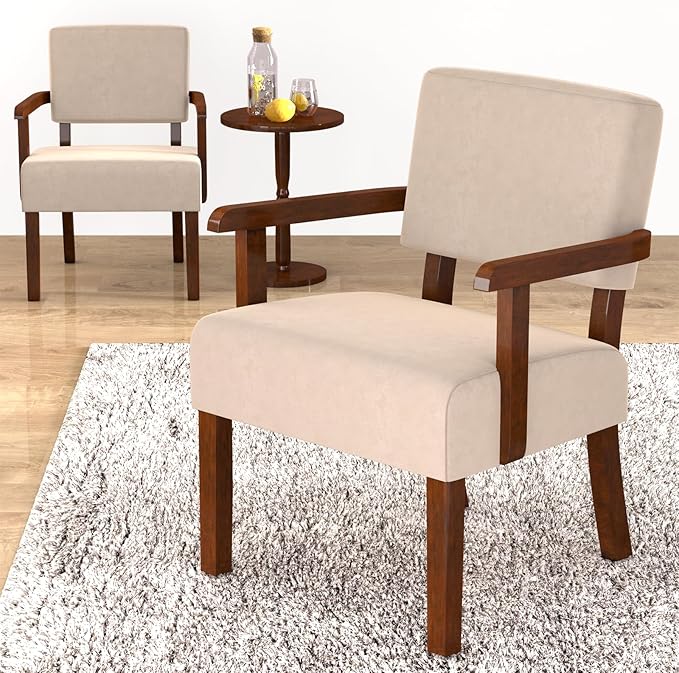 Accent Chair, Cat-Scratch Velvet Living Room Chairs Oversize with Soft Seat and Armrests for Dinning Room Bedroom Reading Room Waiting Room-DeskLoop Office