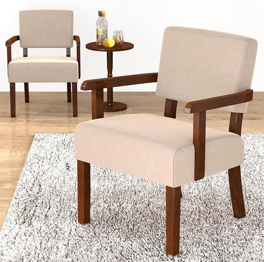 Accent Chair, Cat-Scratch Velvet Living Room Chairs Oversize with Soft Seat and Armrests for Dinning Room Bedroom Reading Room Waiting Room-DeskLoop Office