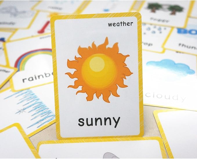 22 Weather Flash Cards by SANTSUN
