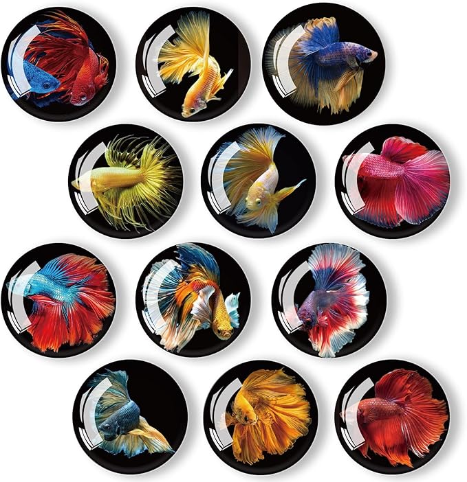 12Pcs Glass Strong Magnetic Refrigerator Magnet Fridge Sticker,Fish Fridge Magnets Decoration for Crafts,Strong Fridge Magnets for Kitchen, School,Office Whiteboard, Cabinet and Dishwasher-DeskLoop Office