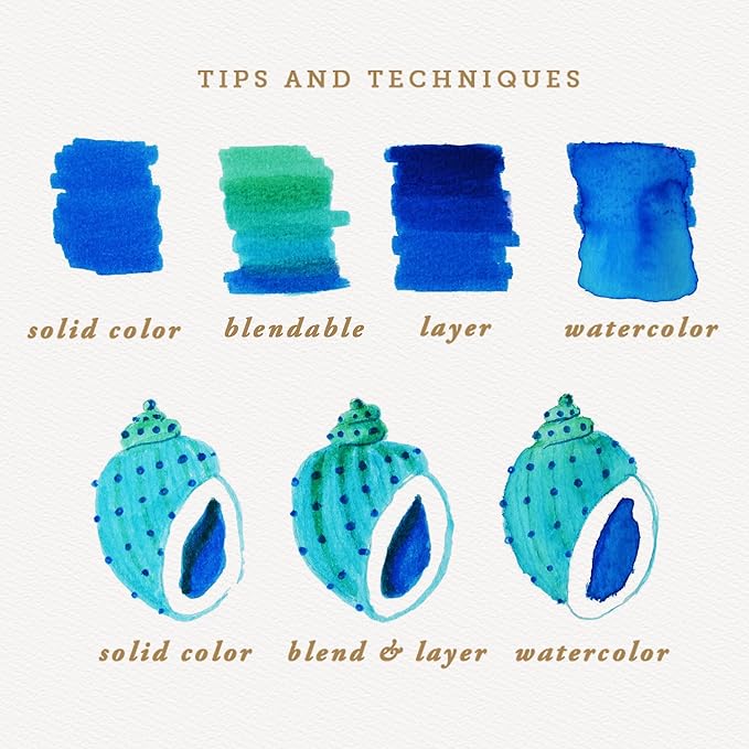 Primrosia 12 Dual Tip Watercolor Marker Pens - Fine Tip & Brush Tips, Professional Quality, 4 x Sticker Sheets, Blendable, Non-Toxic, Perfect for Calligraphy, Drawing & Coloring. (Coastal)-DeskLoop Office