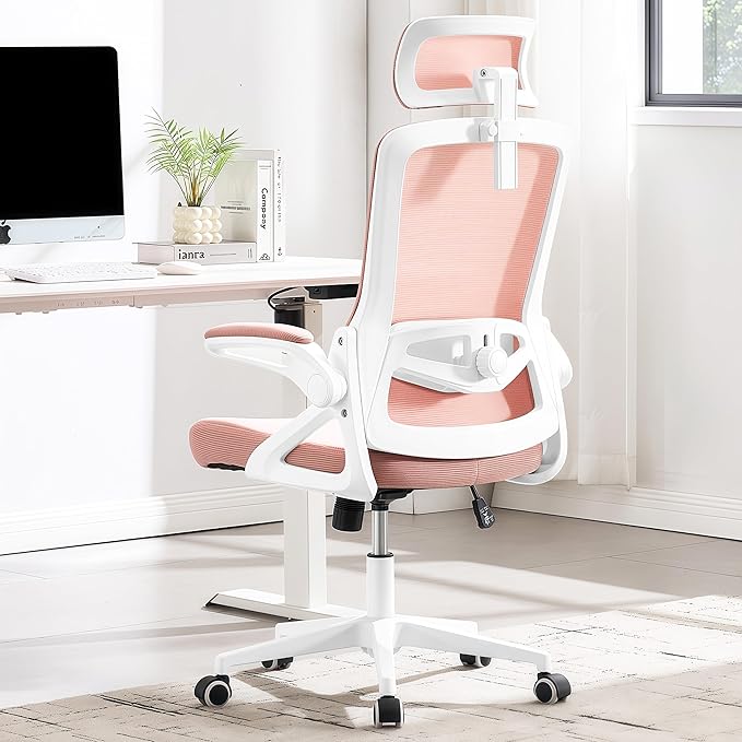 Fizzin Ergonomic Office Chair, 400 LBS Desk Chair by Unknown