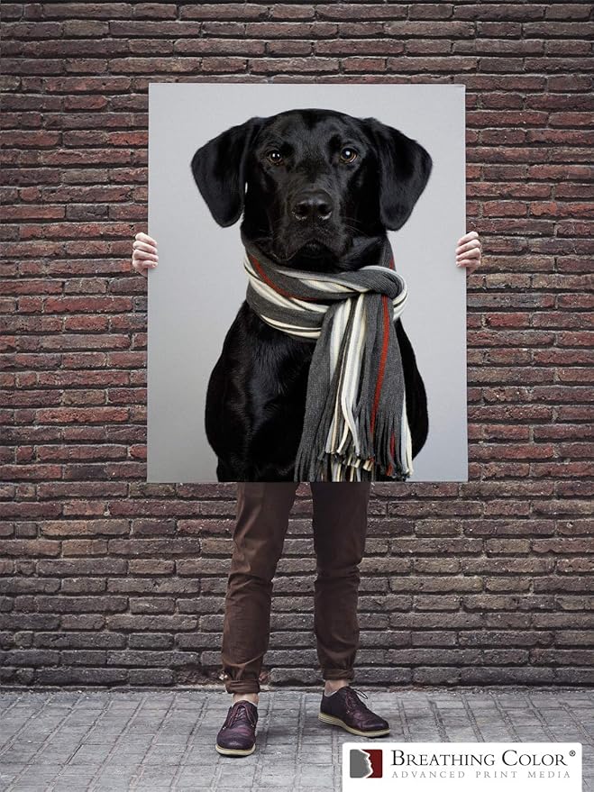 Premium Lyve Matte Canvas Paper Perfect For Use on Professional Makes and Models of Epson, Canon and HP printers preferred by Professionals. 19 mil textured Canvas offered in a 17 inch by 40 ft roll-DeskLoop Office