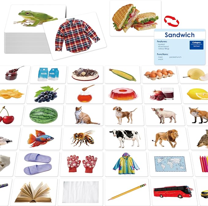 140 Noun Picture-Word Cards, Picture Flashcards Language Builder Visual Aid by SpriteGru