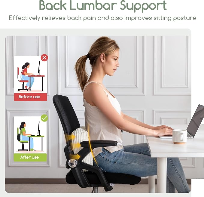 HIGOGOGO Lumbar Support Pillow for Recliner Chair/Accent Chair/Couch/Office - Image 5