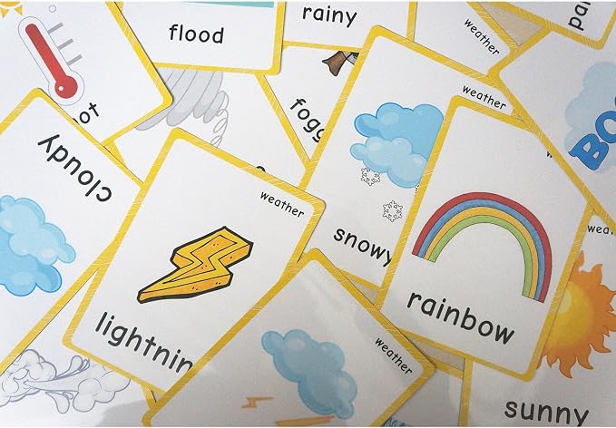 22 Weather Flash Cards - Image 5