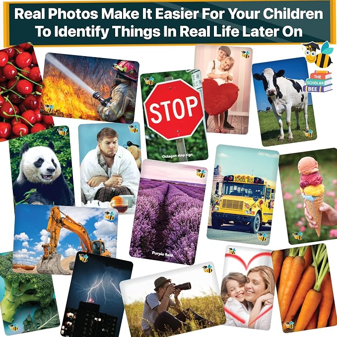 Flash Cards for Toddlers 2-4 Years – Jumbo Learning Box Set - Image 6