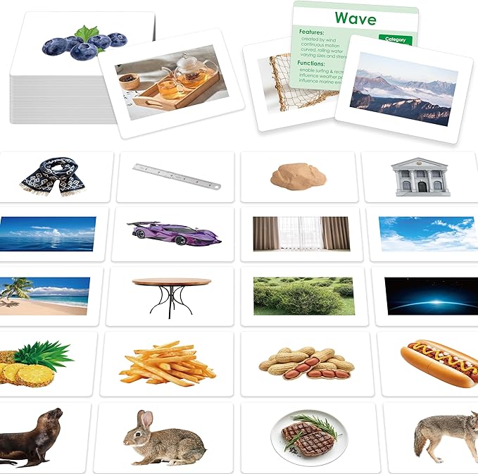140 Noun Picture-Word Cards, Picture Flashcards Language Builder Visual Aid by SpriteGru