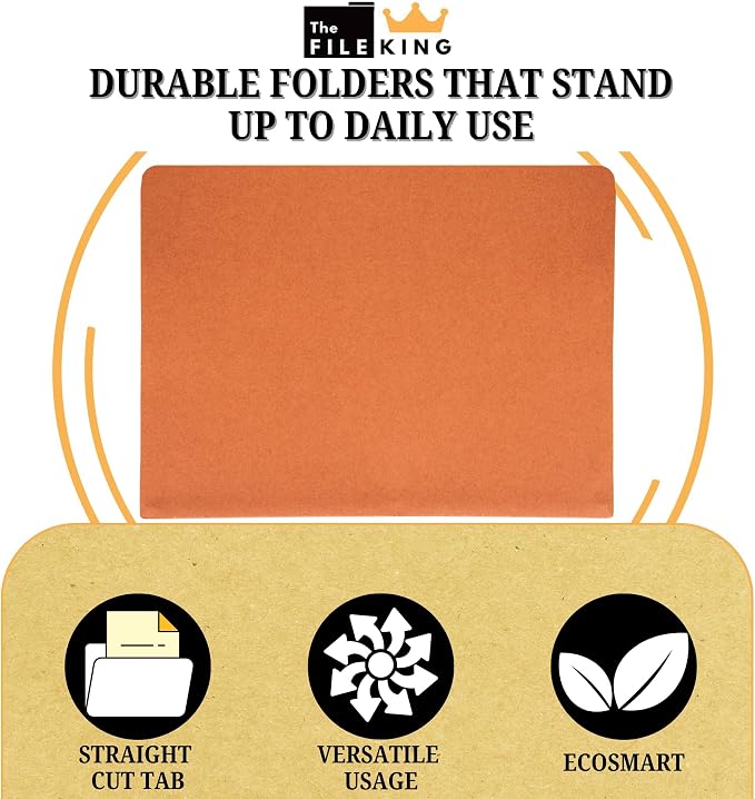The File King Expanding Accordion File Folder | Letter Size | Box of 50 - Image 3
