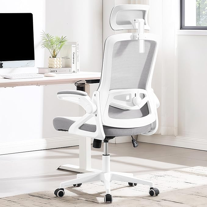 Fizzin Ergonomic Office Chair, 400 LBS Desk Chair by Unknown