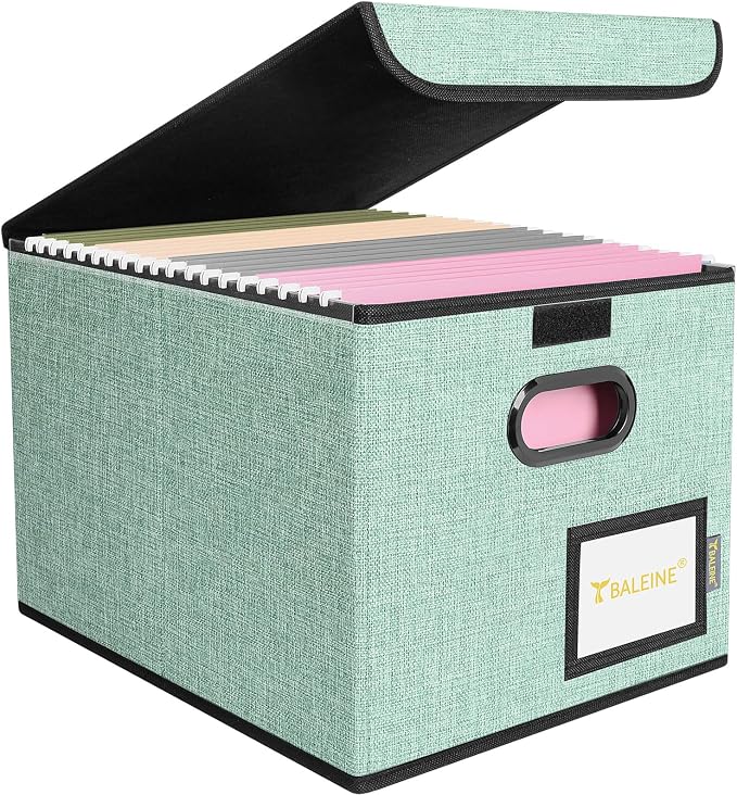 BALEINE File Organizer Box by BALEINE