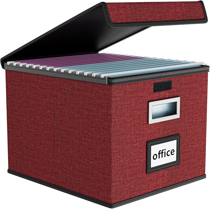 File Organizer Box with Lid, Collapsible File Folder Organizer by Huolewa